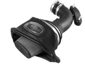 Momentum Pro DRY S Air Intake System 51-74201